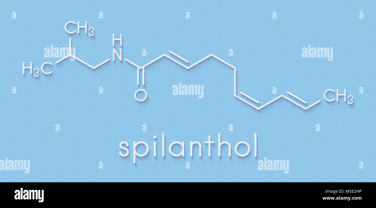 Spilanthol molecule. Local anesthetic present in Acmella oleracea (toothache plant). Skeletal formula. Stock Photo
