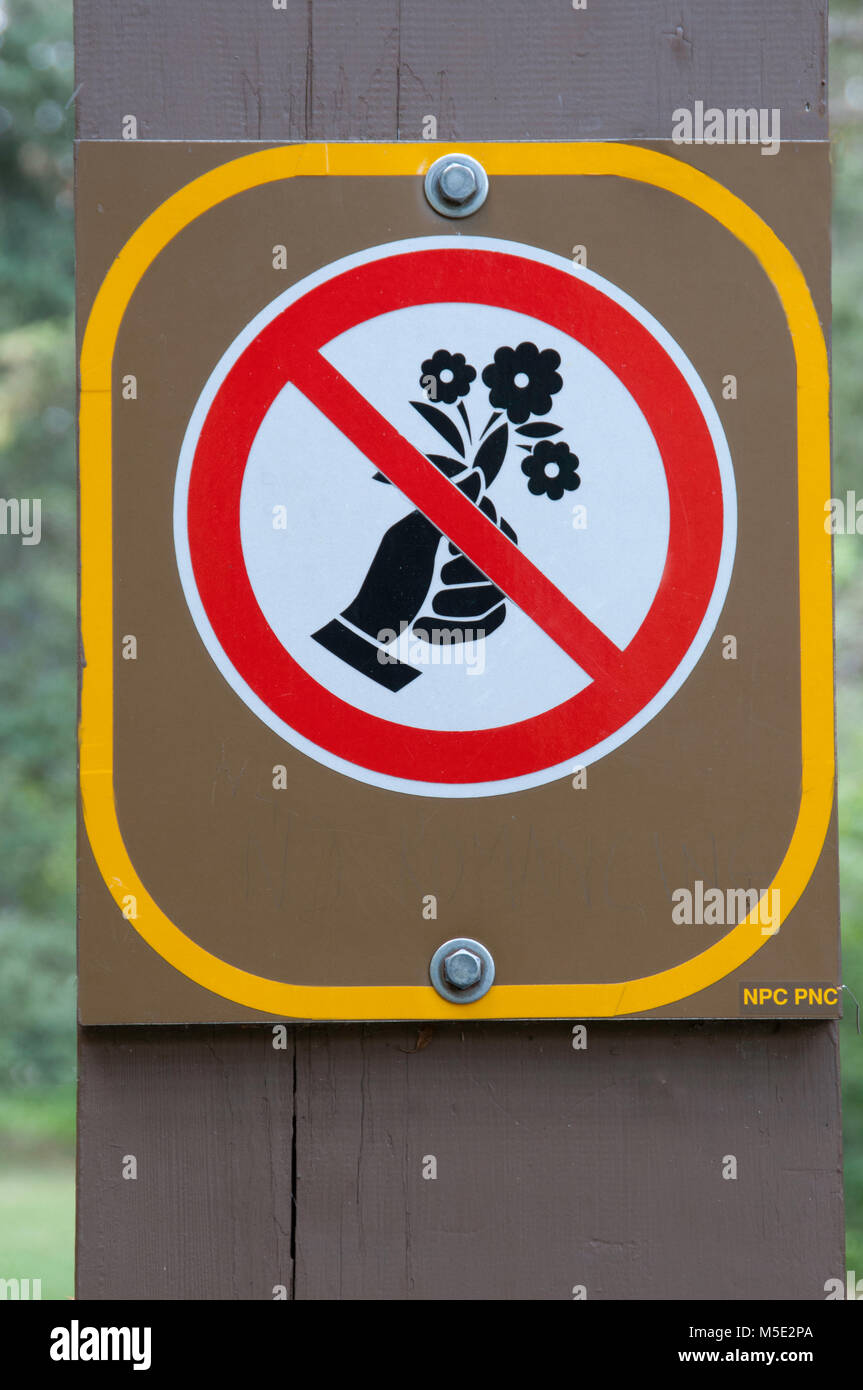 Sign in Banff Canada Do Not Pick The Flowers Stock Photo