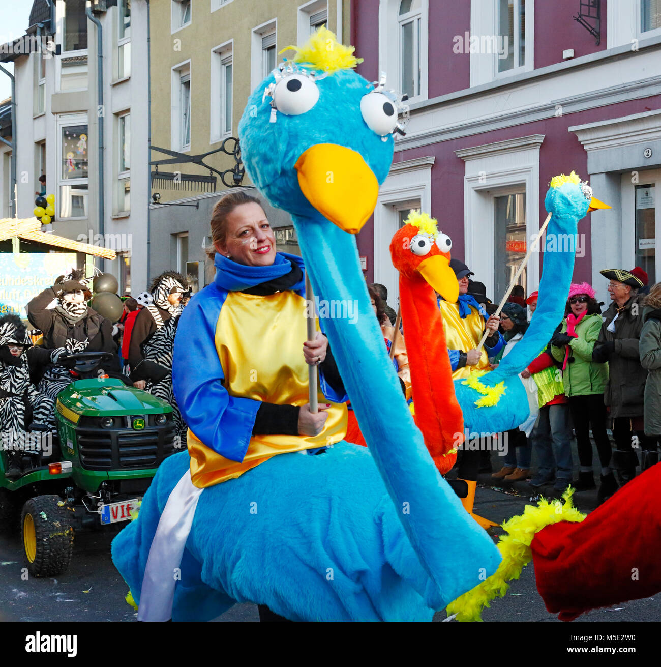 Rhenish carnival,Rose Monday,Shrove Monday procession 2018 in Duelken,people,spectators,fools,costuming,D-Viersen,D-Viersen-Duelken,Lower Rhine,Rhineland,North Rhine-Westphalia,NRW Stock Photo