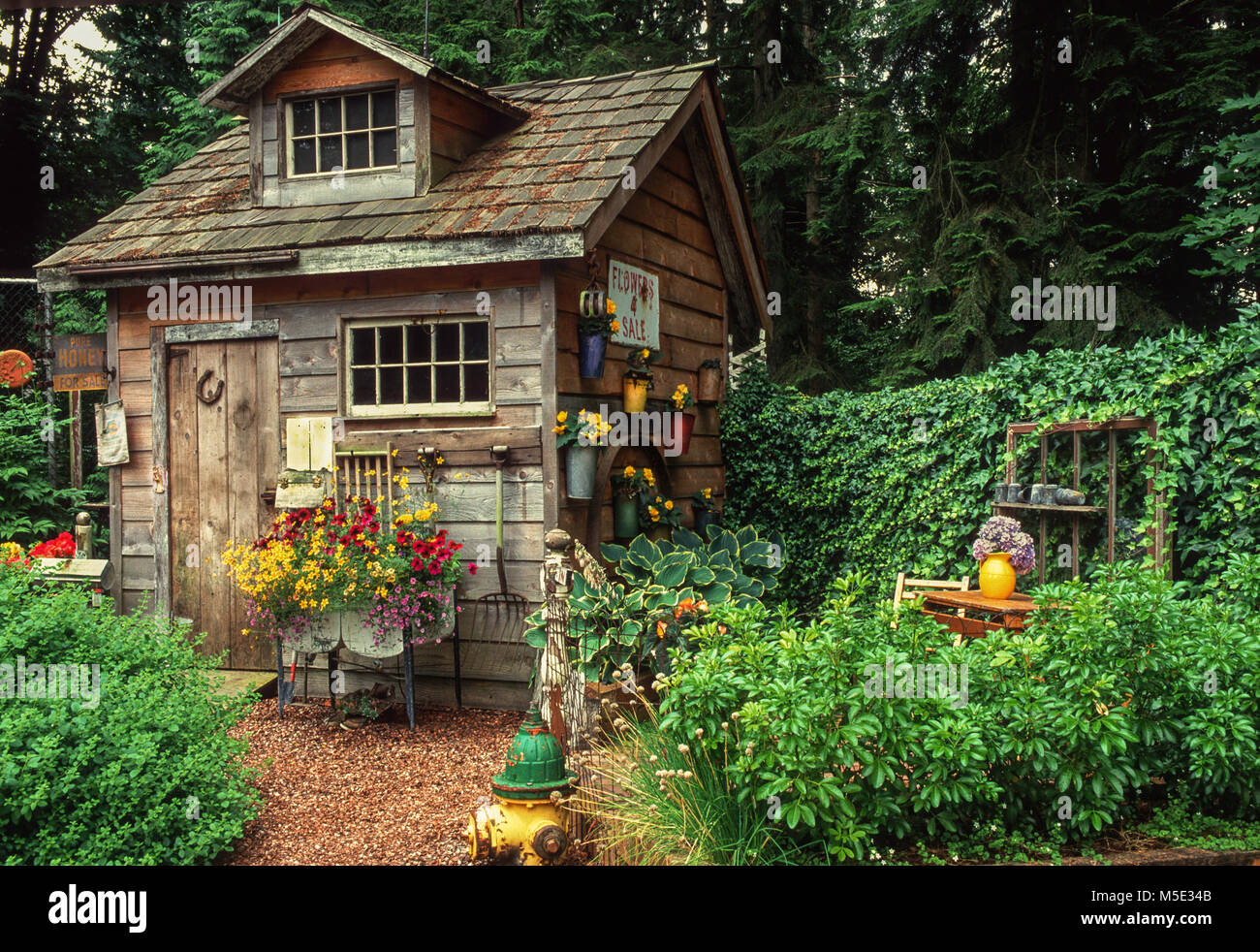 Rustic garden shed Stock Photo