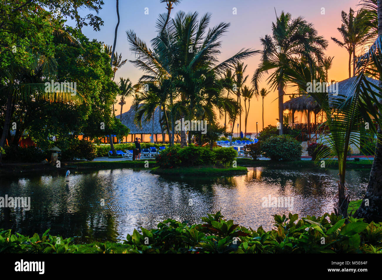 Multicolored tropical dawn with pond and palm trees, white pelican and thatched huts in the resort Stock Photo