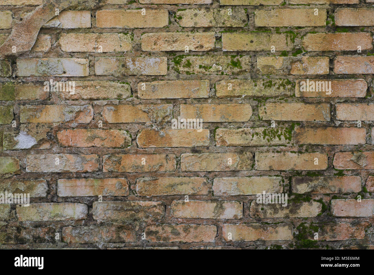 aged weathered brick wall texture background Stock Photo - Alamy