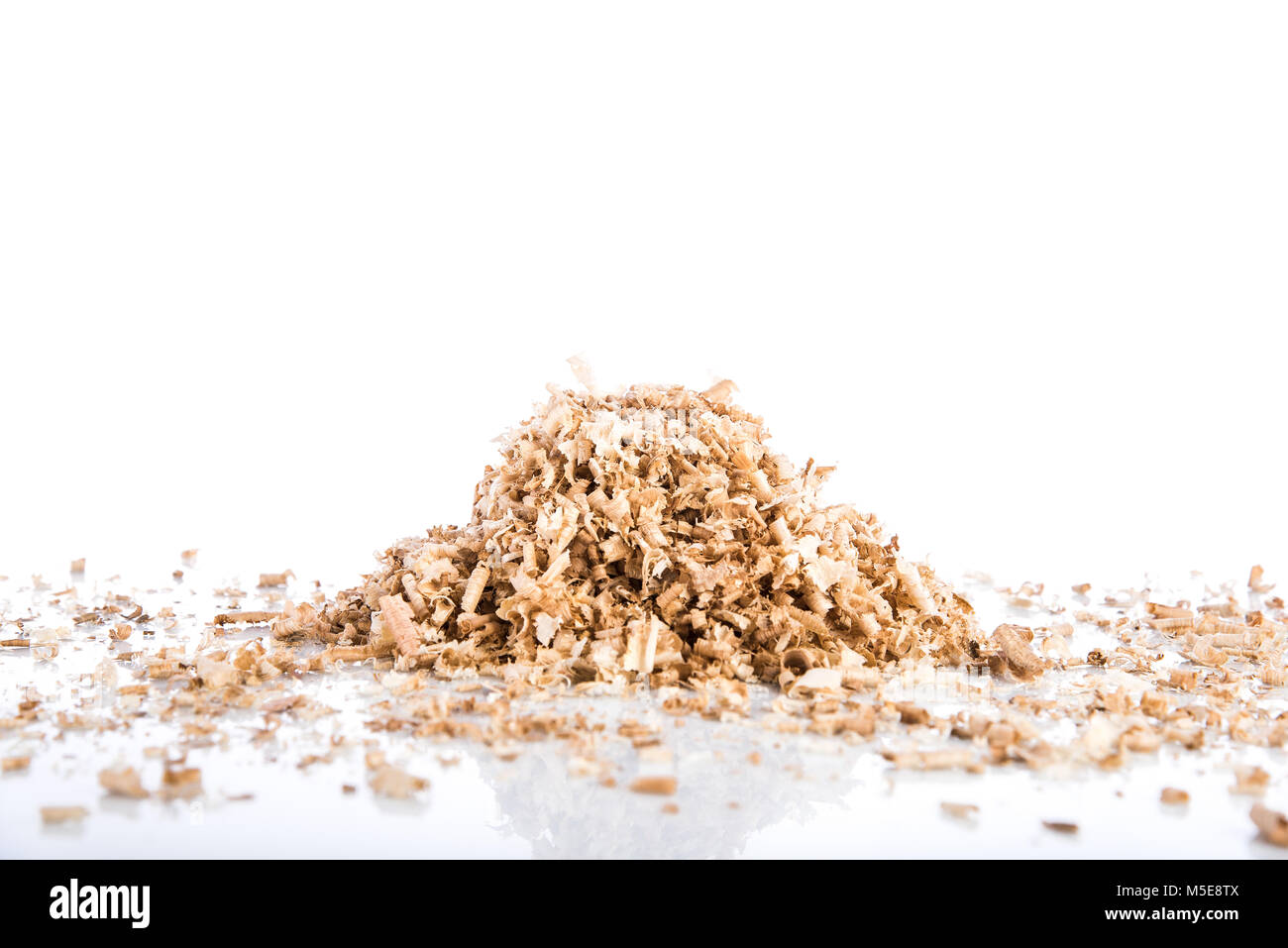 Oak wood shavings on a white background, shadows and reflections, wood