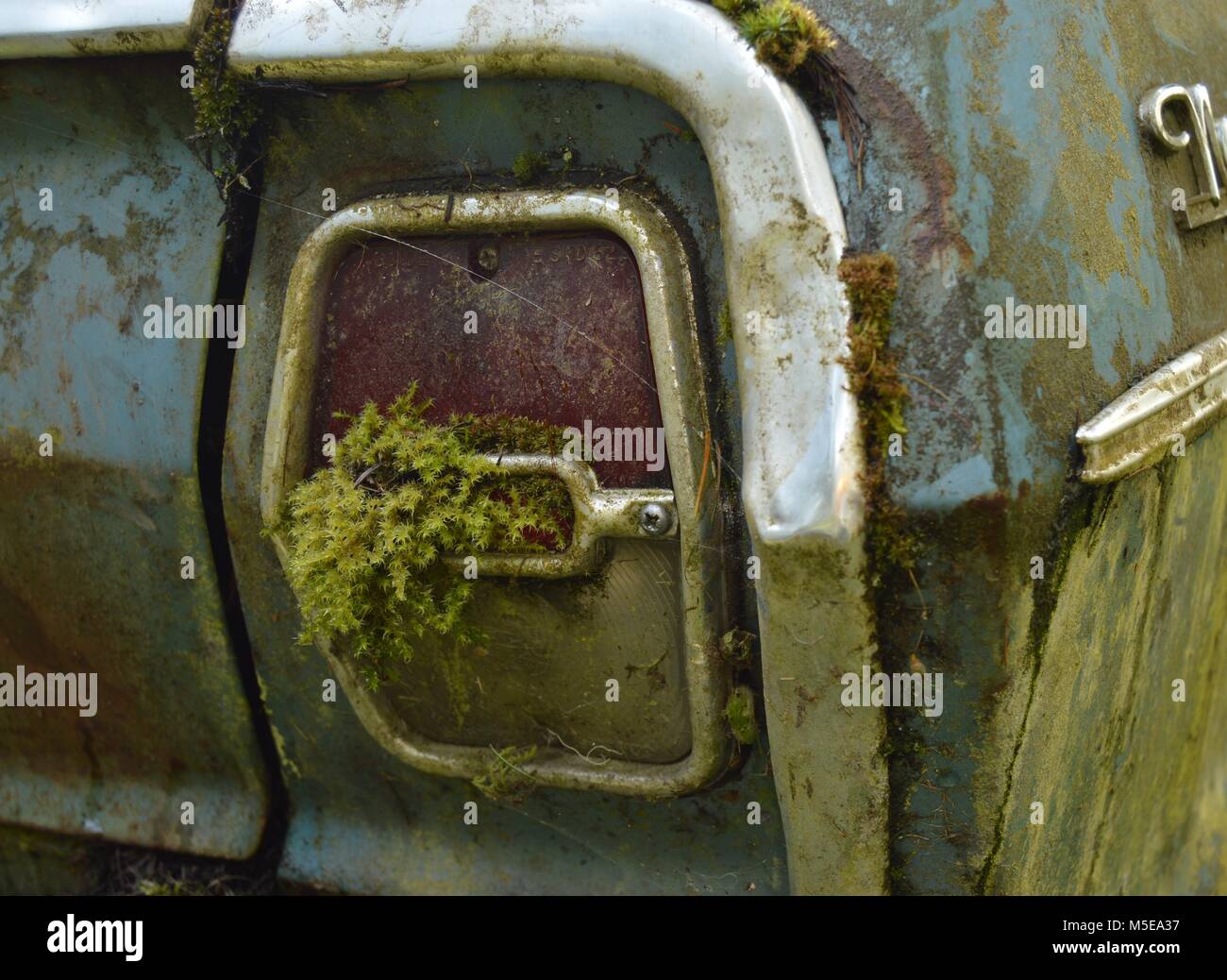 moss and lichen growing on taillight of an old abandoned car sitting in the yard Stock Photo