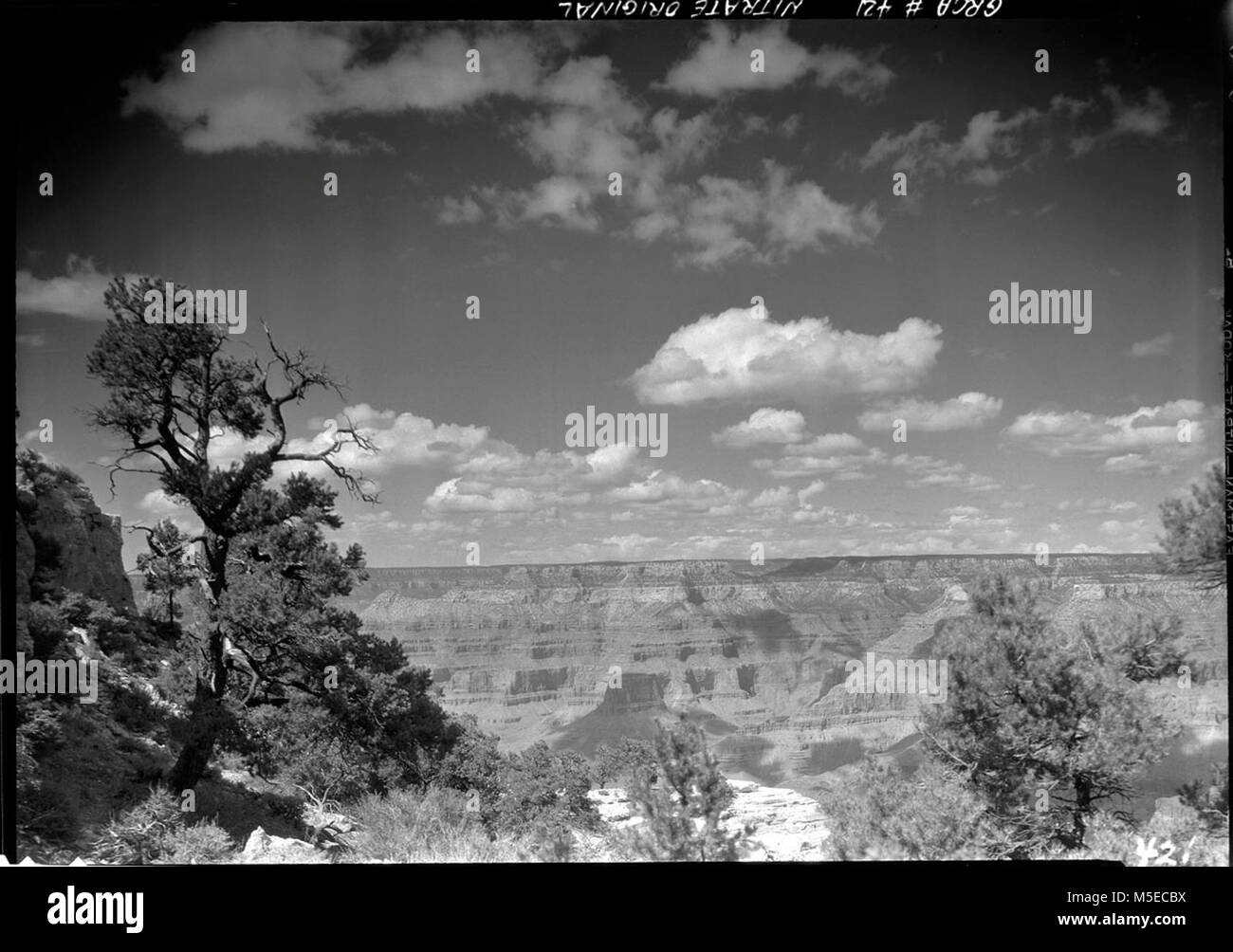 Grand Canyon Historic View of Shiva Temple VIEW OF SHIVA TEMPLE FROM