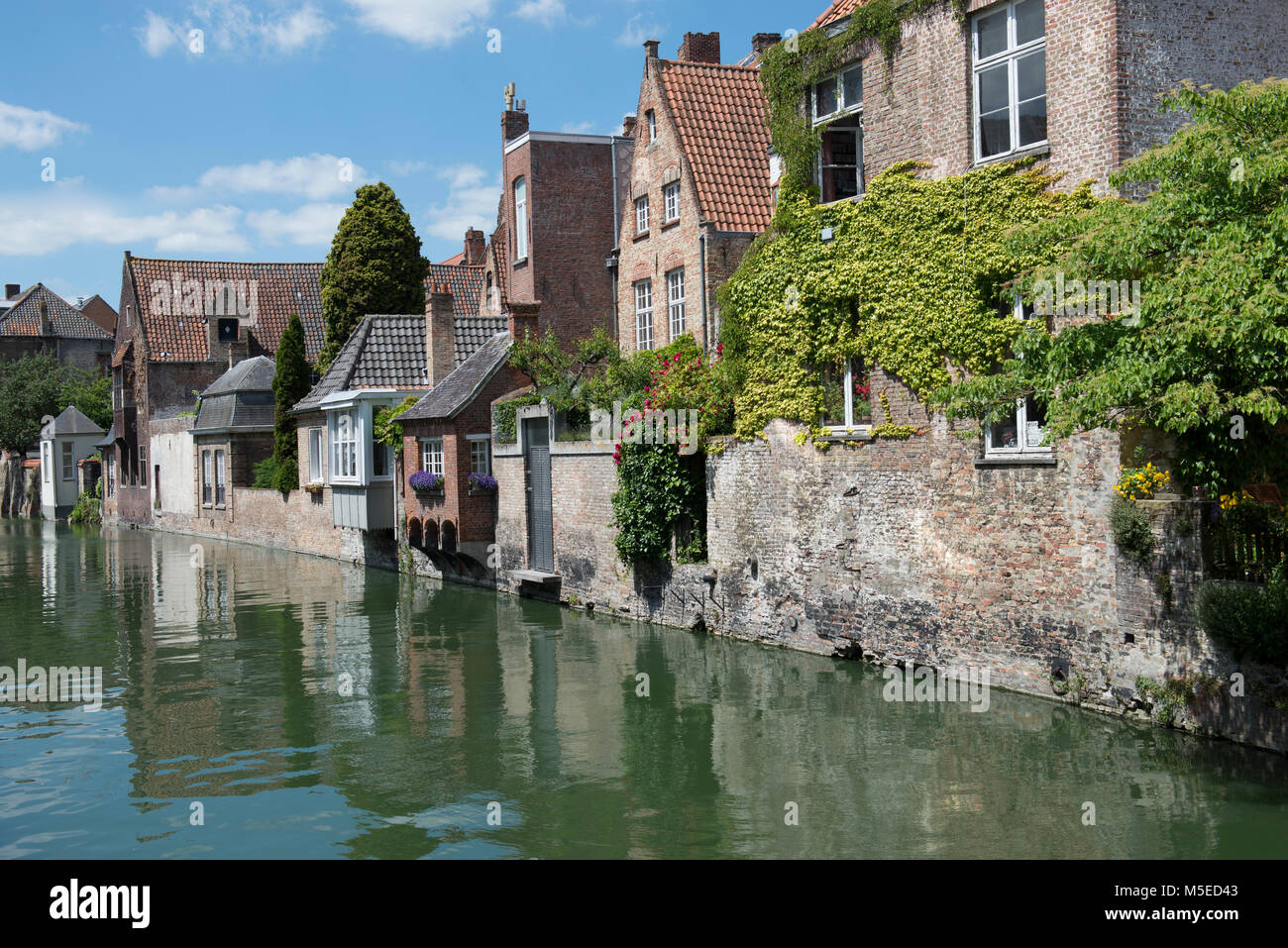 Gouden hi-res stock photography and images - Page 3 - Alamy