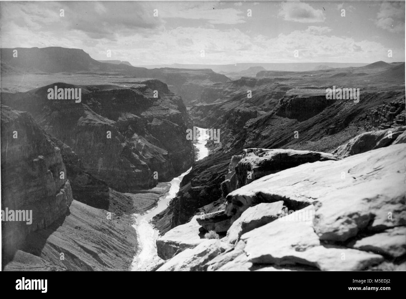 Grand Canyon ToroweapTuweep  LOOKING DOWN THE COLORADO RIVER (WEST) FROM TUWEEP POINT, GRAND CANYON NATIONAL MONUMENT.  LAVA FALLS RAPID IS AT MOUTH OF CANYON ENTERING FROM LEFT, OPPOSITE LAVA FLOW VISIBLE IN MOUTH OF TUWEEP VALLEY ON RIGHT.   CIRCA 1951.   . Stock Photo