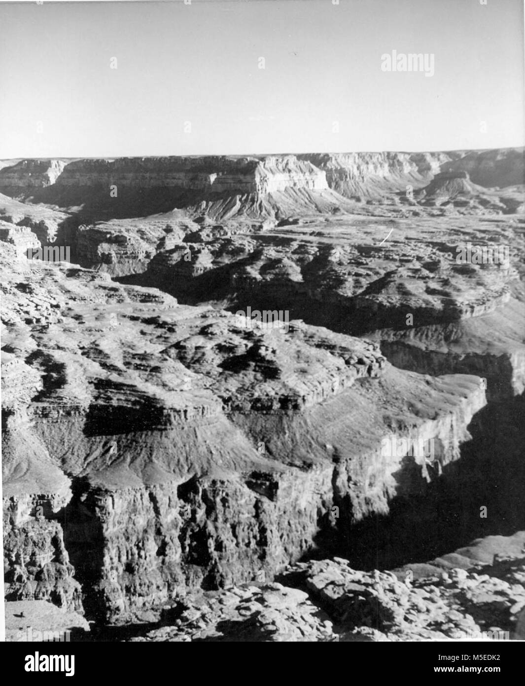 Grand Canyon Kanab Point  JUNCTION OF KANAB CREEK CANYON (ENTERING FROM LEFT) AND GRAND CANYON, AS SEEN FROM KANAB POINT, GRAND CANYON NATIONAL MONUMENT.   CIRCA 1951. Stock Photo