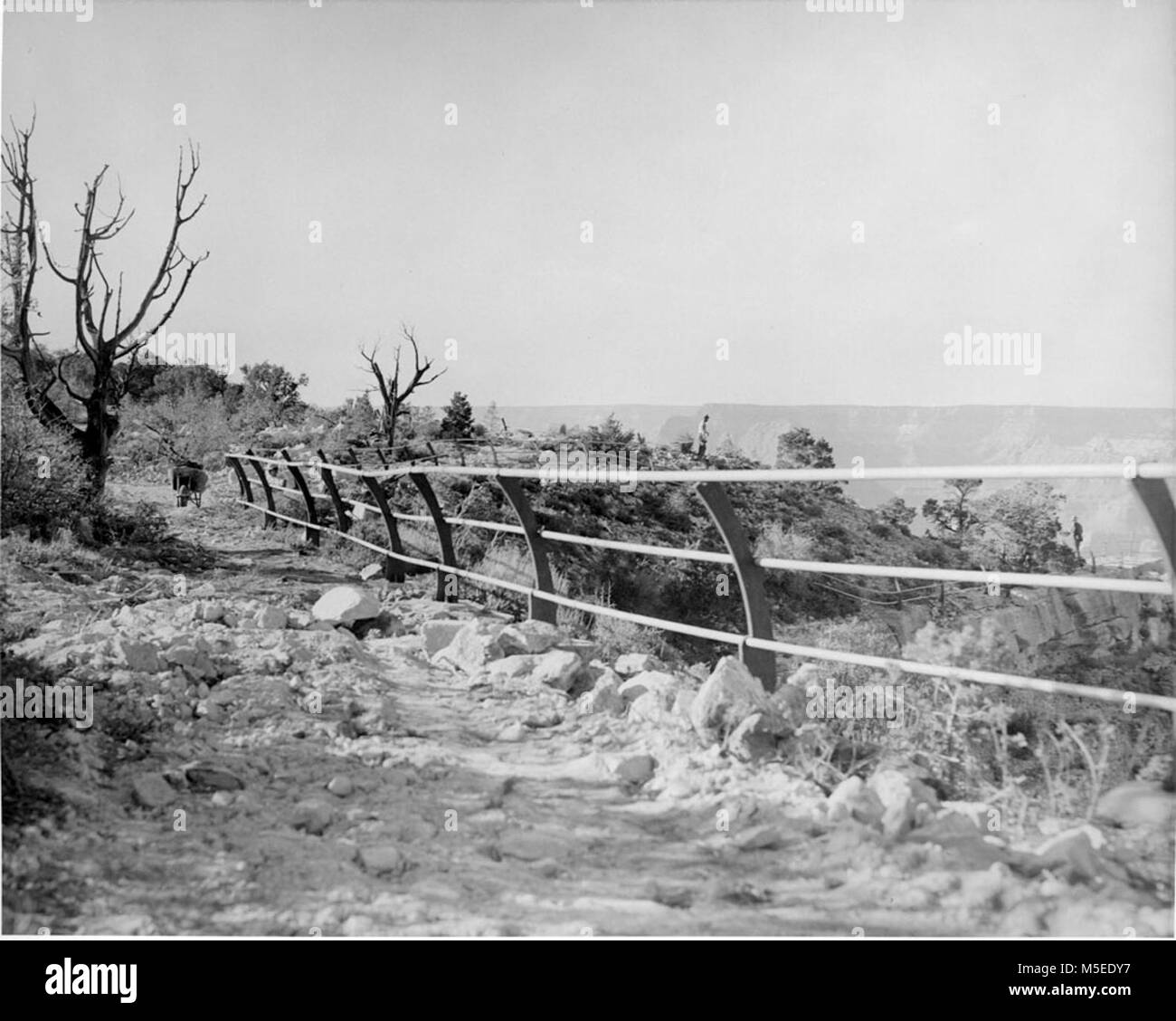 Grand Canyon Maer Point CONSTRUCTION OF RAILING AND WALKWAYS AT MATHER