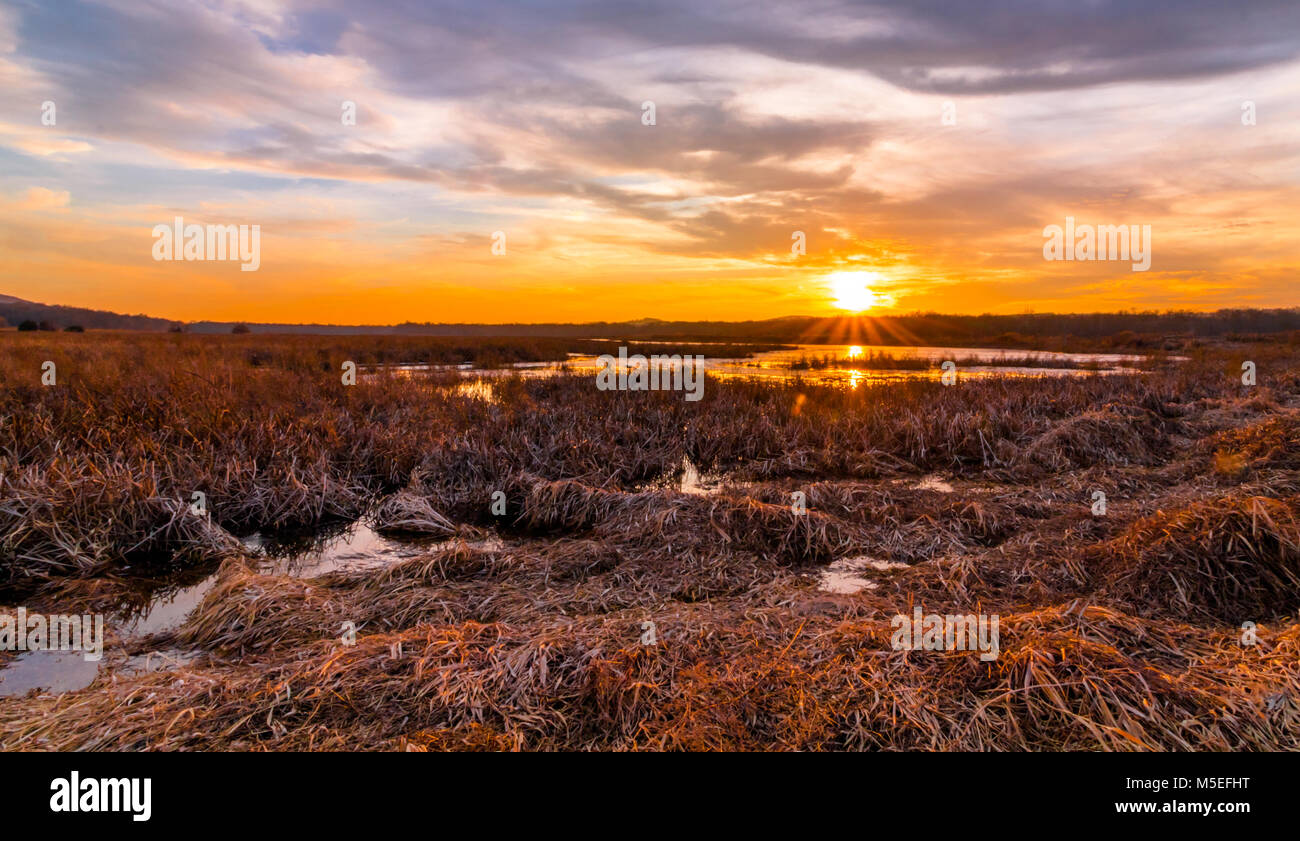 Sunset at Liberty Loop, part of the Wallkill River NWR, NJ, in late winter as the ice melts off the marshlands Stock Photo