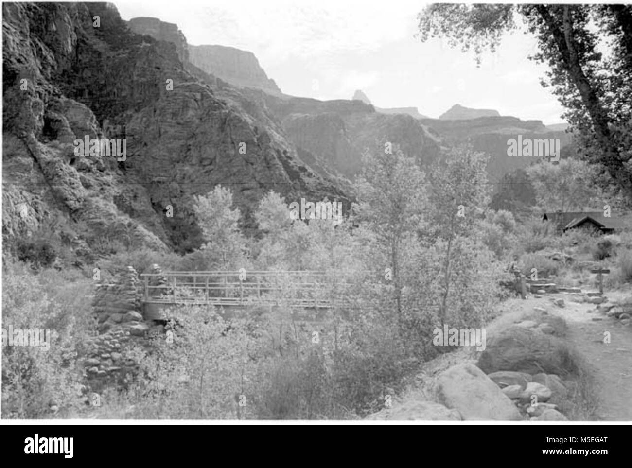 Grand Canyon Historic- Bright Angel Creek Bridge Scene BRIDGE CROSSING ...