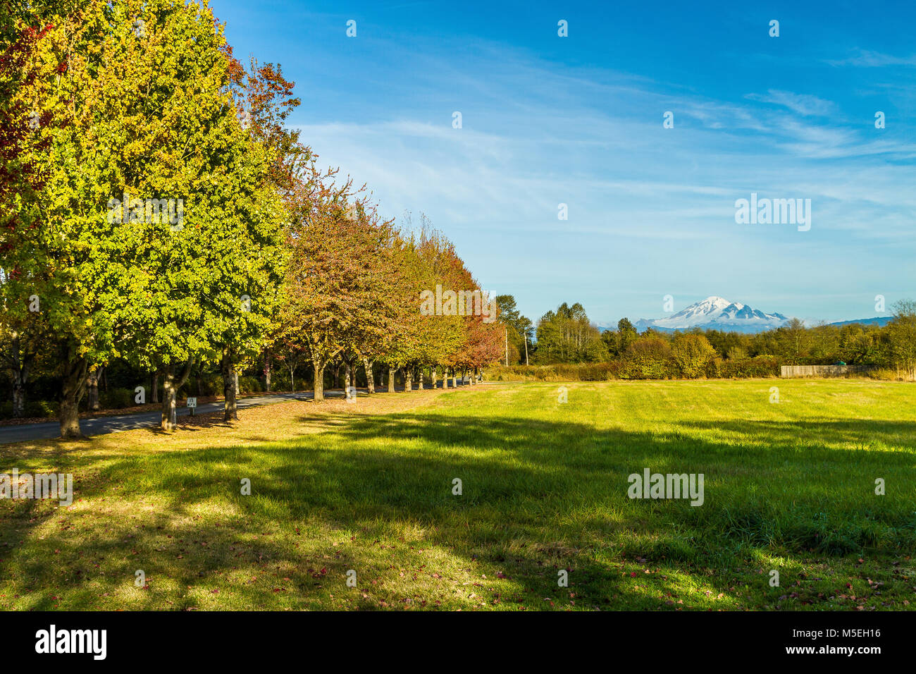 View of Mt. Baker in Autumn from Hovander Park Stock Photo Alamy