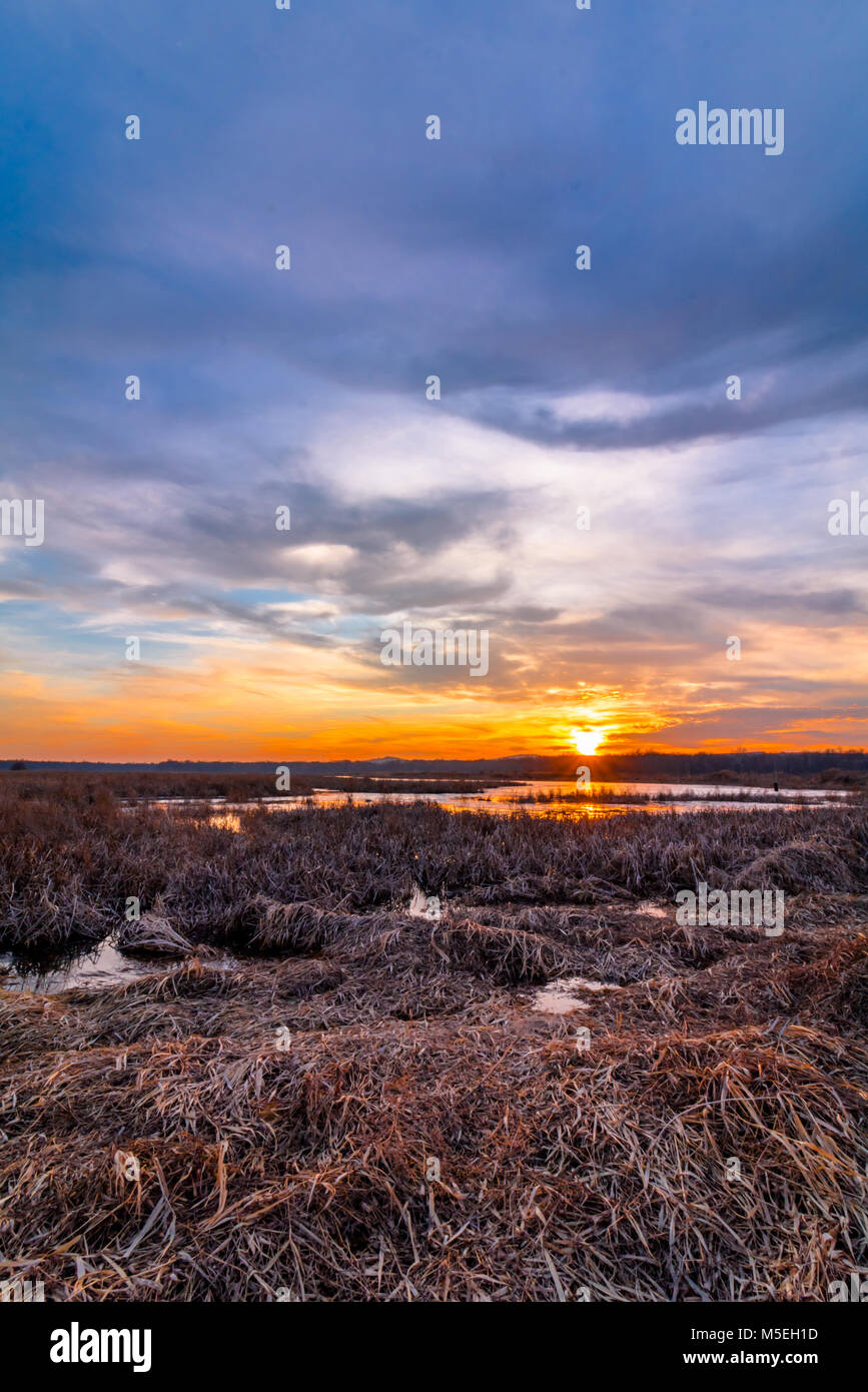 Sunset at Liberty Loop, part of the Wallkill River NWR, NJ, in late winter as the ice melts off the marshlands Stock Photo