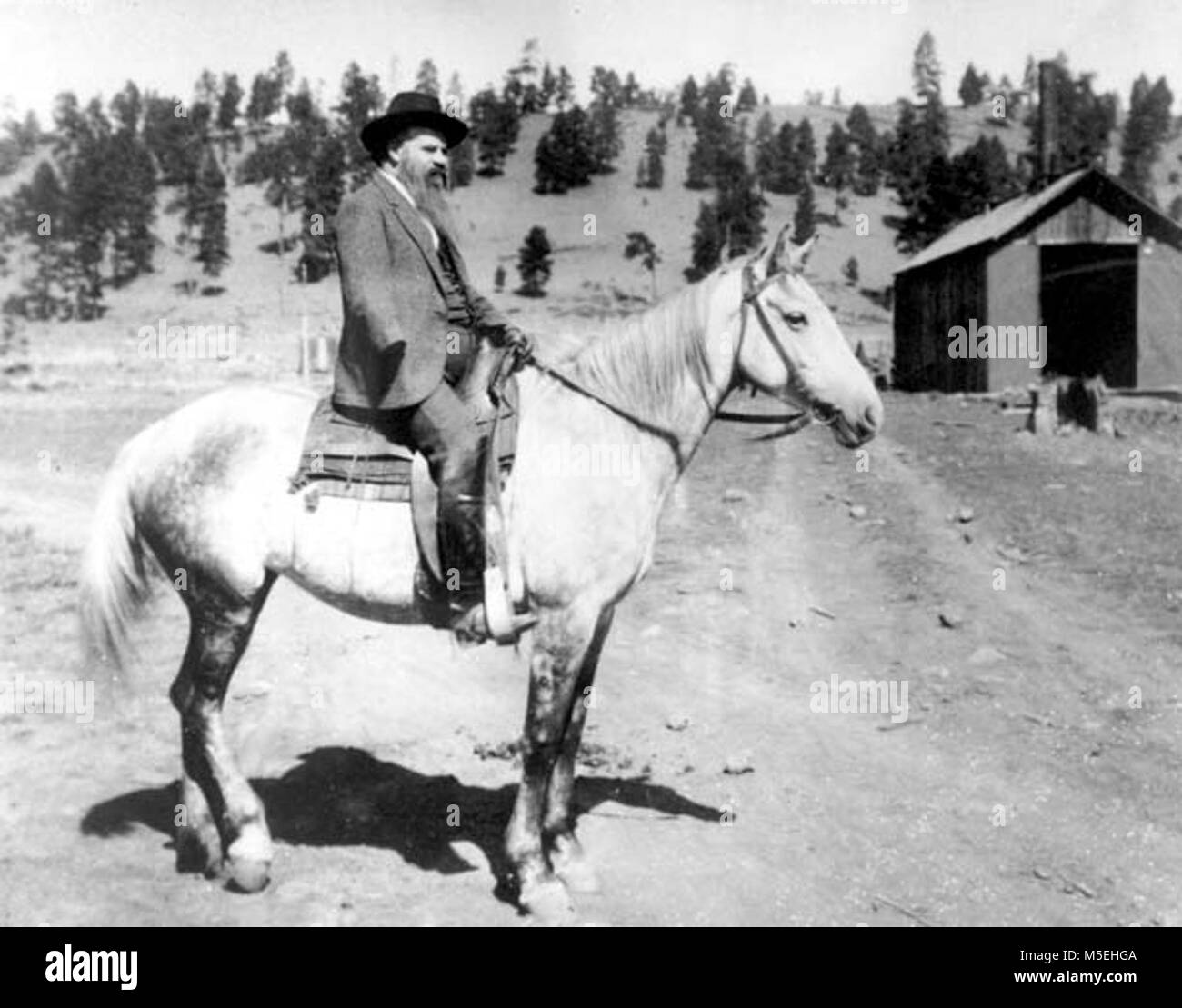 Grand Canyon Powell Expedition   PORTRAIT OF JOHN WESLEY POWELL (AGE 57) ON HORSEBACK NEAR FLAGSTAFF, ARIZONA, A GUEST OF D. M. RIORDAN. CIRCA 1891. Stock Photo
