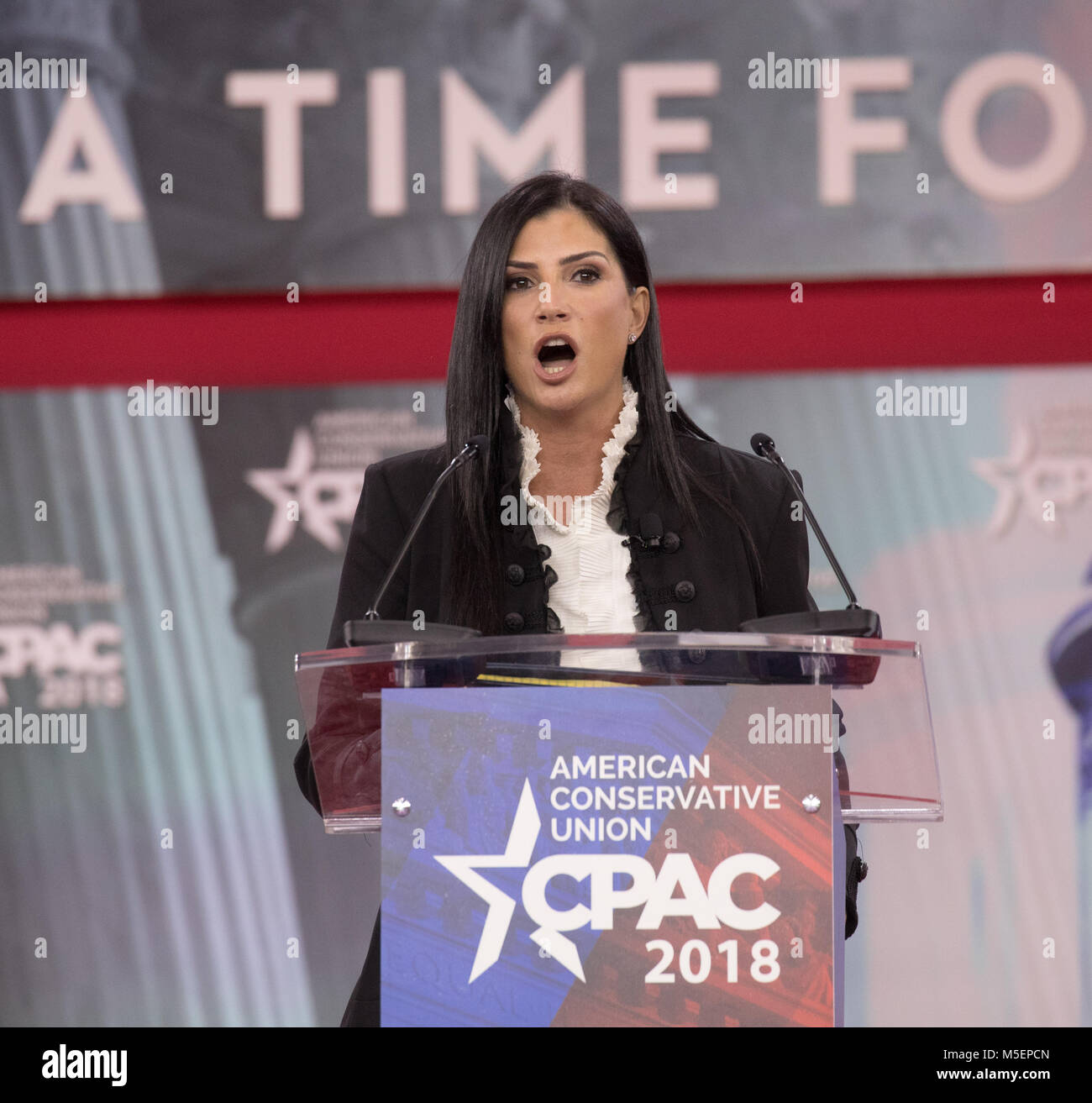 Dana Loesch defended the 2nd Amendment on gun ownership at the 2018 ...