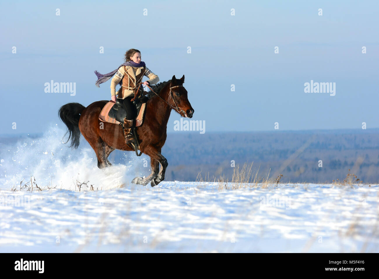 Happy girl ride on powerful horse running gallop. Winter horse riding
