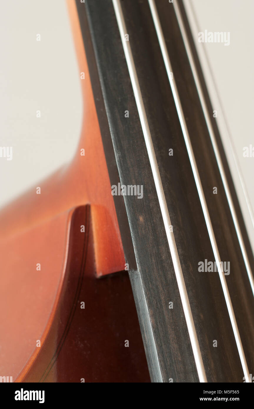 Closeup of portion of a double bass fingerboard on white background, vertical orientation Stock Photo