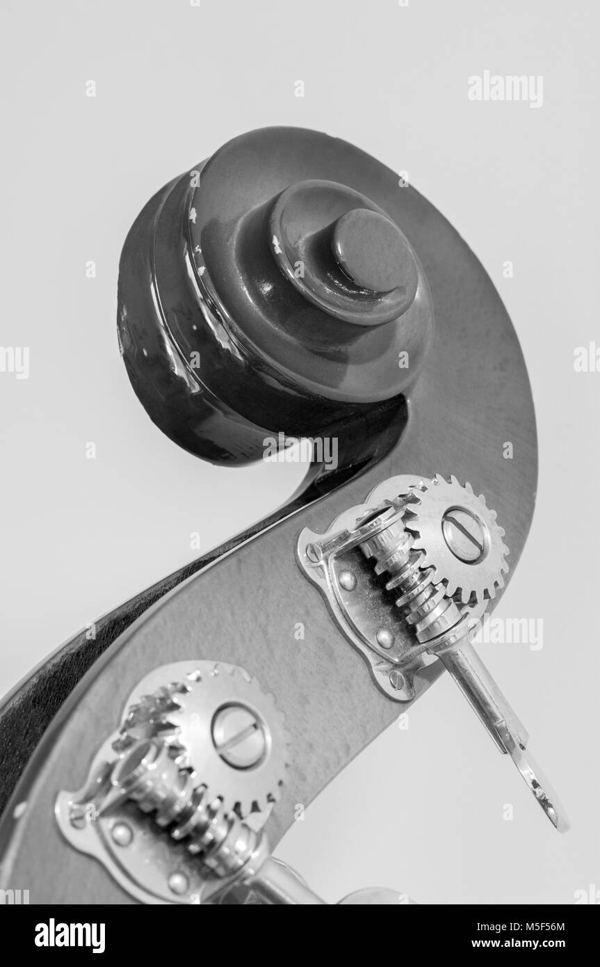 Closeup of double bass scroll head on white background in monochrome, vertical orientation Stock Photo