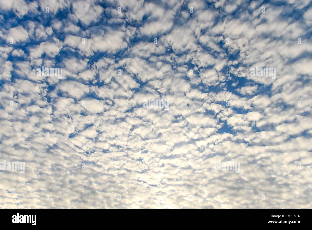 The blue sky and white fluffy clouds Stock Photo - Alamy