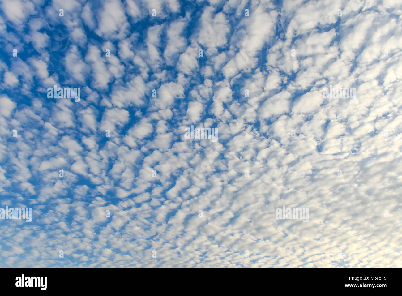 The blue sky and white fluffy clouds Stock Photo - Alamy