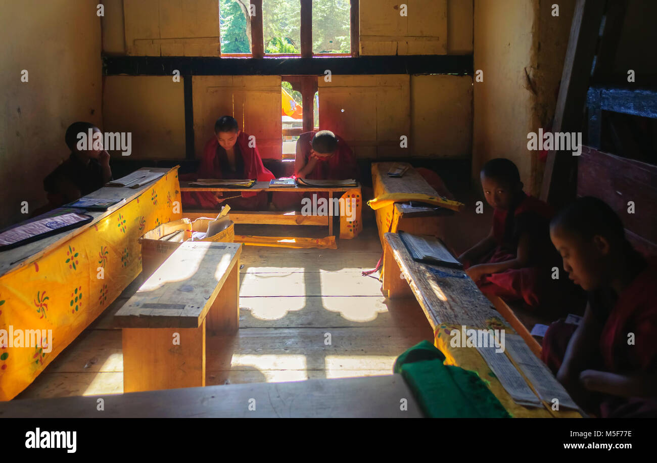 Bhutanese Students studying religious scriptures, Buddhism in a monastery with copy space Stock Photo