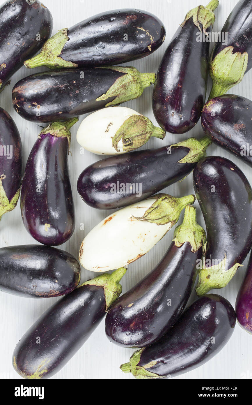 blue and white eggplant Stock Photo Alamy