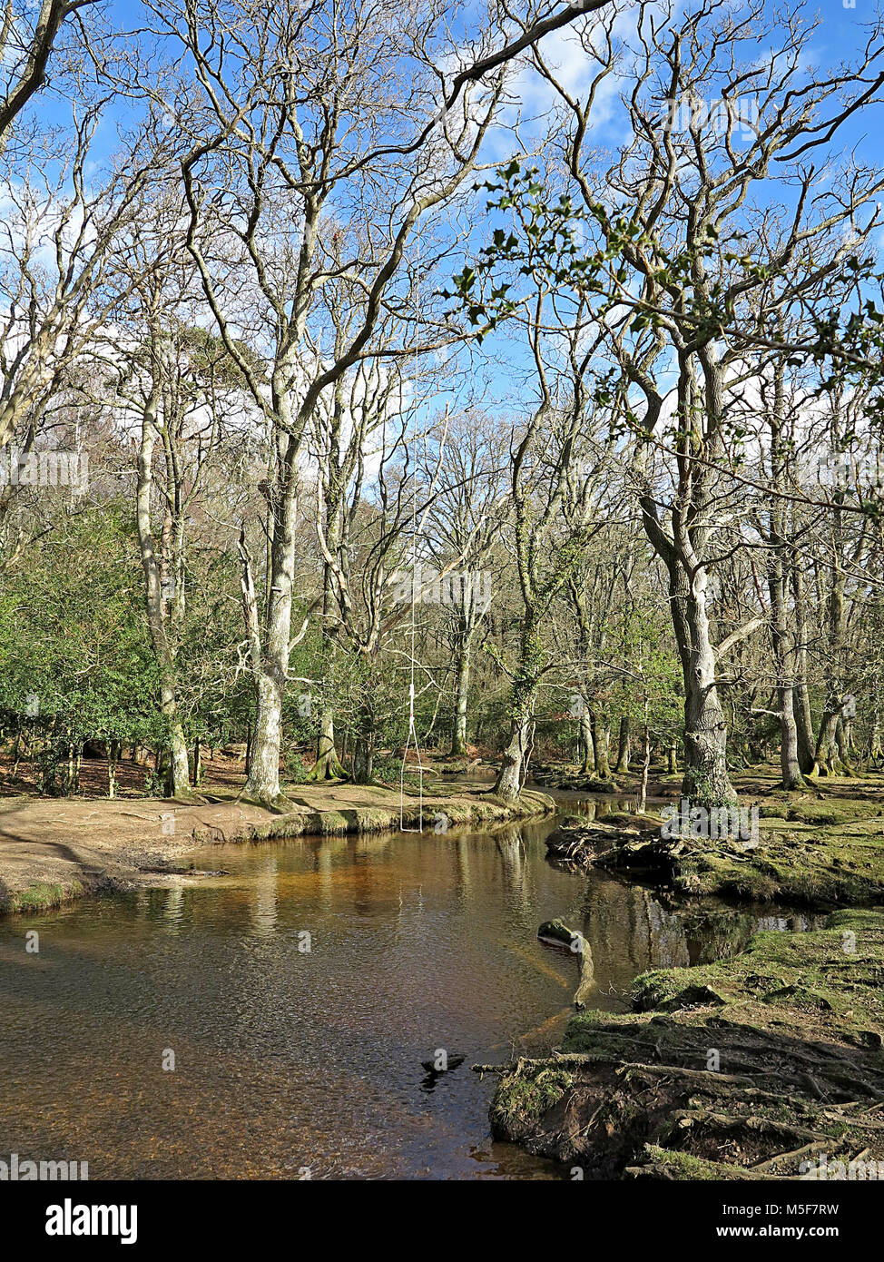 Hill new forest hi-res stock photography and images - Alamy