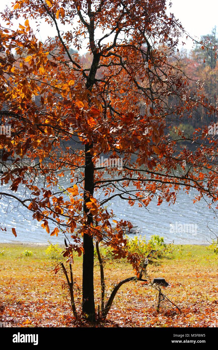 Colors of Autumn Stock Photo - Alamy
