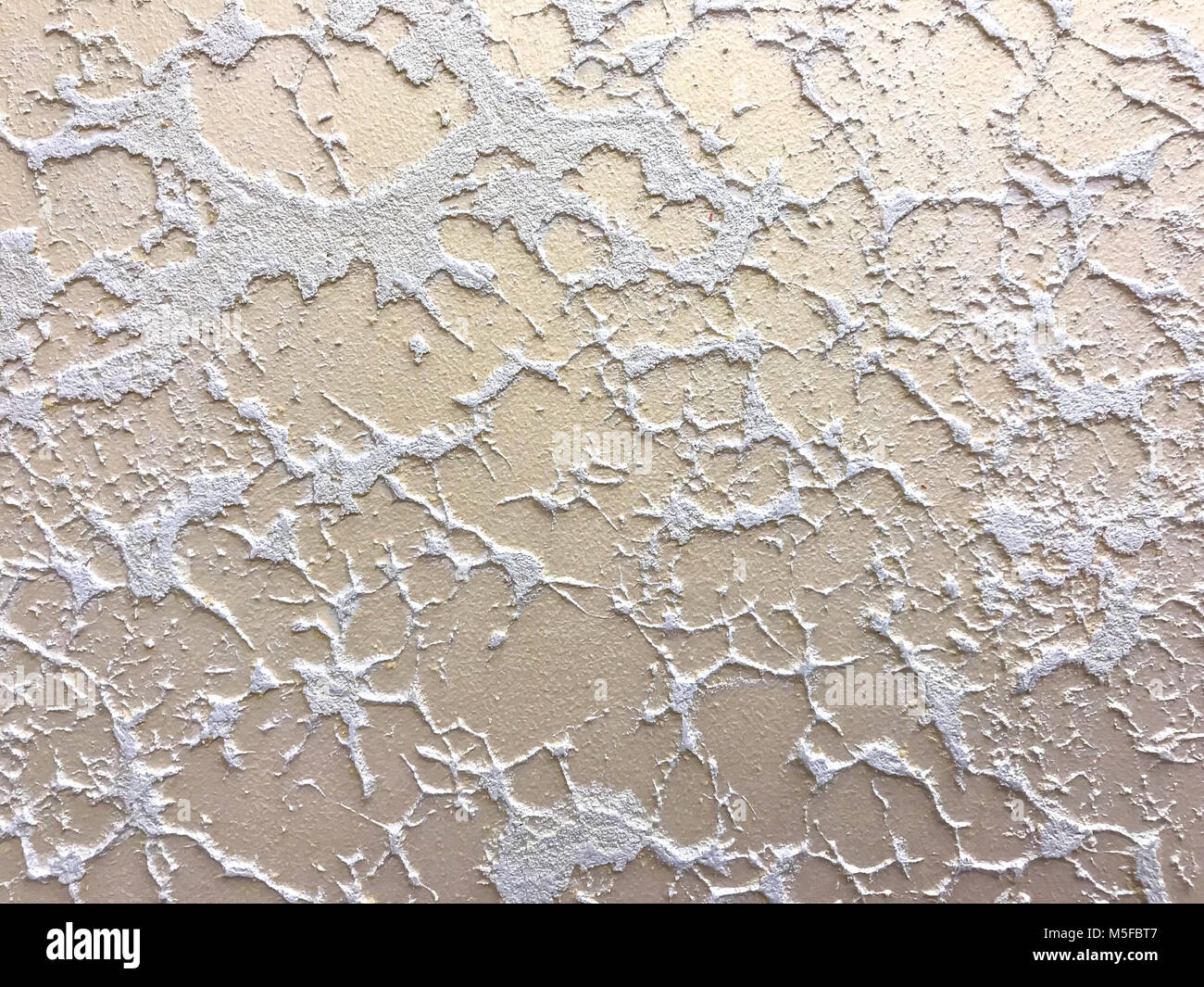 Decorative color plaster, finishing materials, construction concept