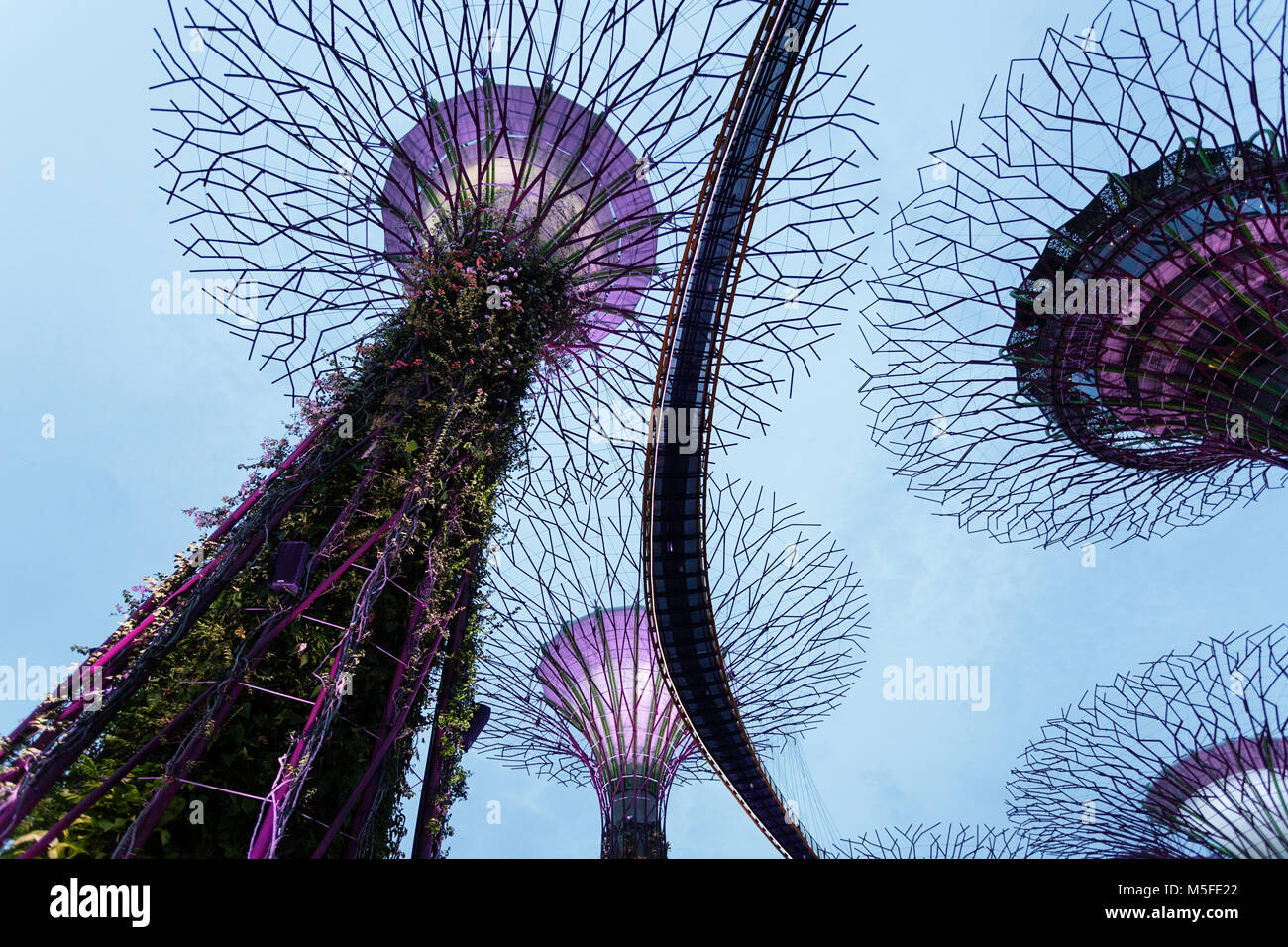 Supertree Grove at Gardens by the Bay at night, Singapore Stock Photo ...