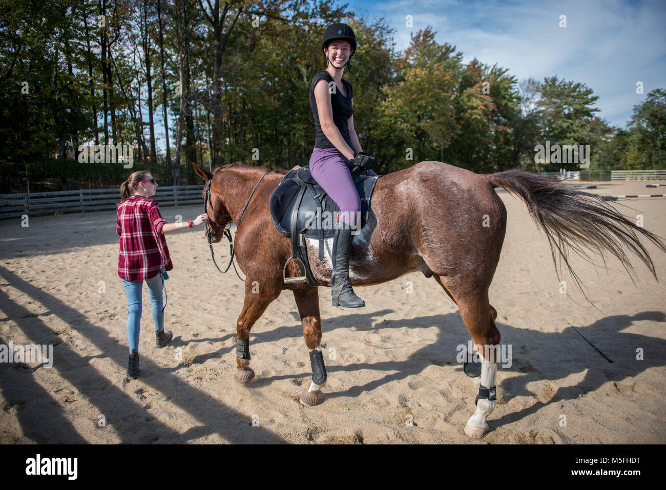 Backwards Horse High Resolution Stock Photography and Images Alamy