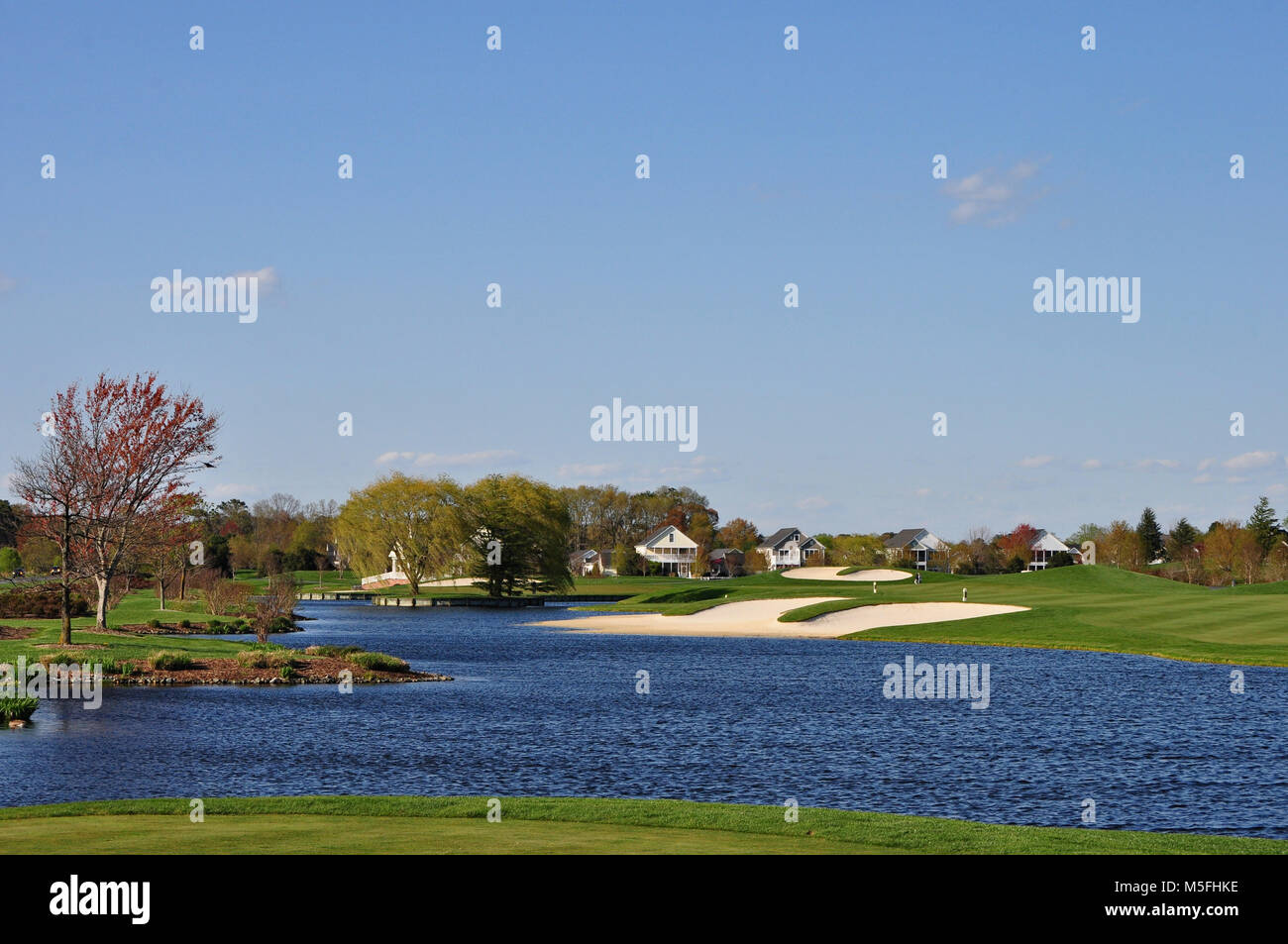 Long neck delaware hires stock photography and images Alamy