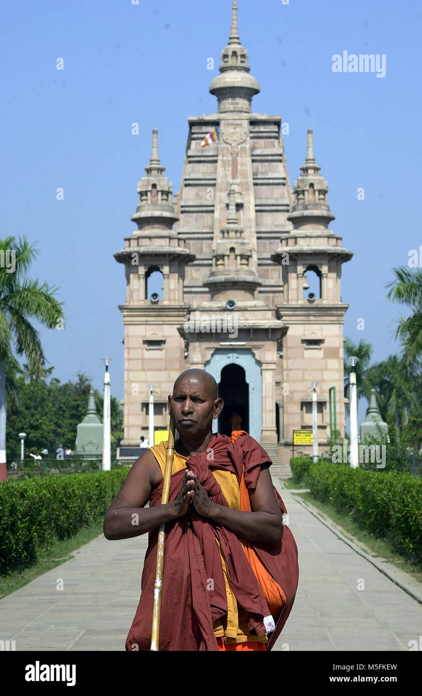 monk at mulangandhikutty vihara, sarnath, uttar pradesh, india, Asia Stock Photo