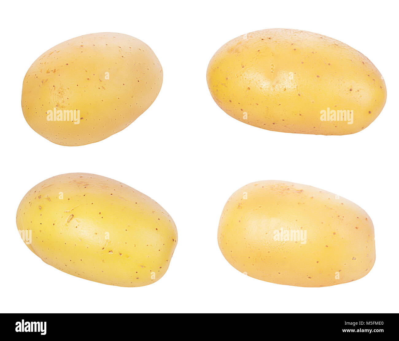 Single Potatoe Isolated On White Background Stock Photo, Picture and  Royalty Free Image. Image 136849876.