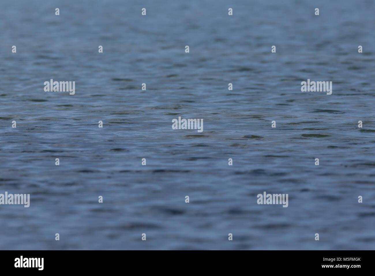 natural blue water surface with small waves in sunlight Stock Photo - Alamy