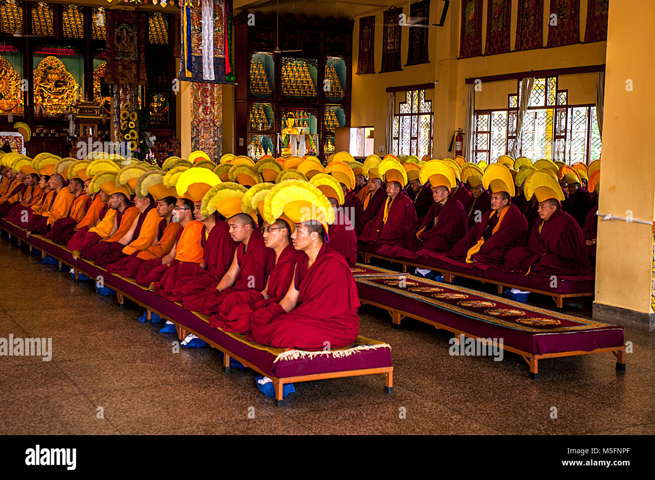 Gyuto Monastery, Dharamsala, Himachal Pradesh, India, Asia Stock Photo