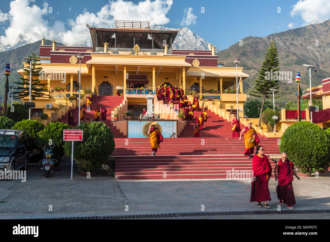 Gyuto Monastery, Dharamsala, Himachal Pradesh, India, Asia Stock Photo