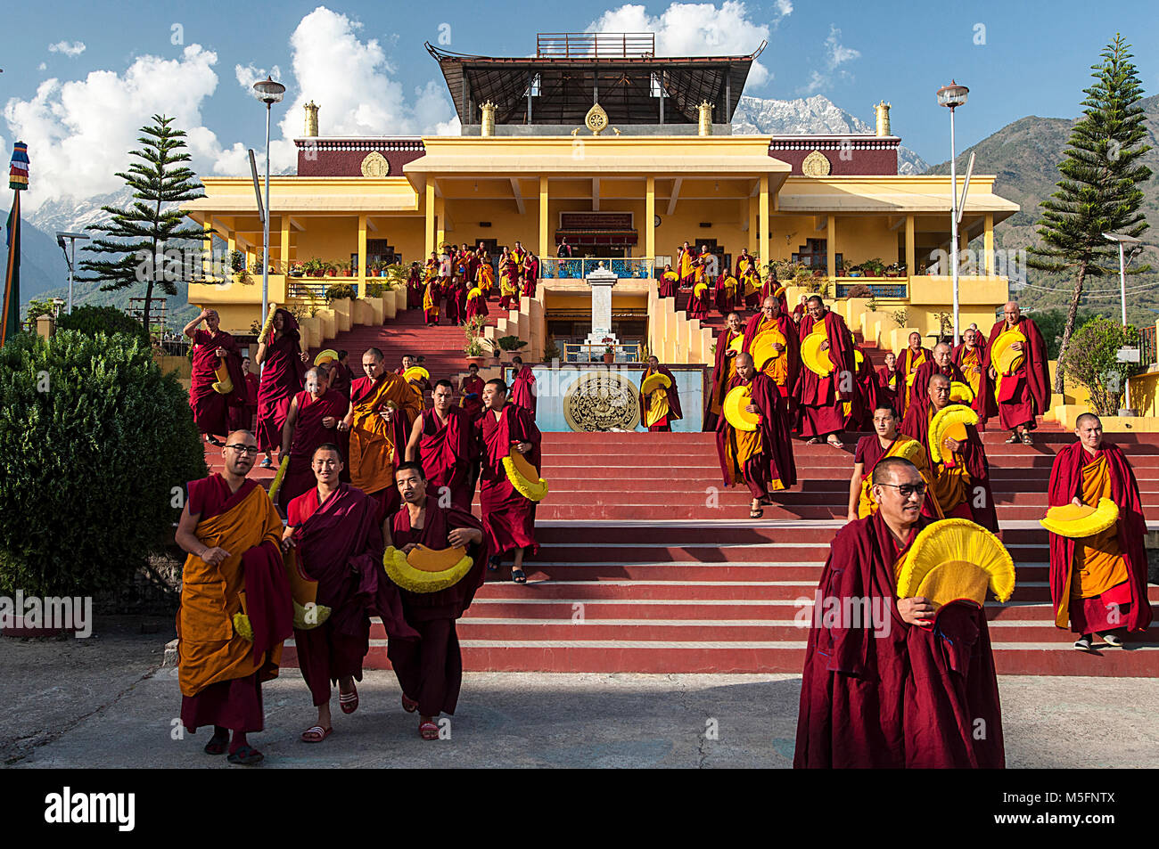 Gyuto Monastery, Dharamsala, Himachal Pradesh, India, Asia Stock Photo