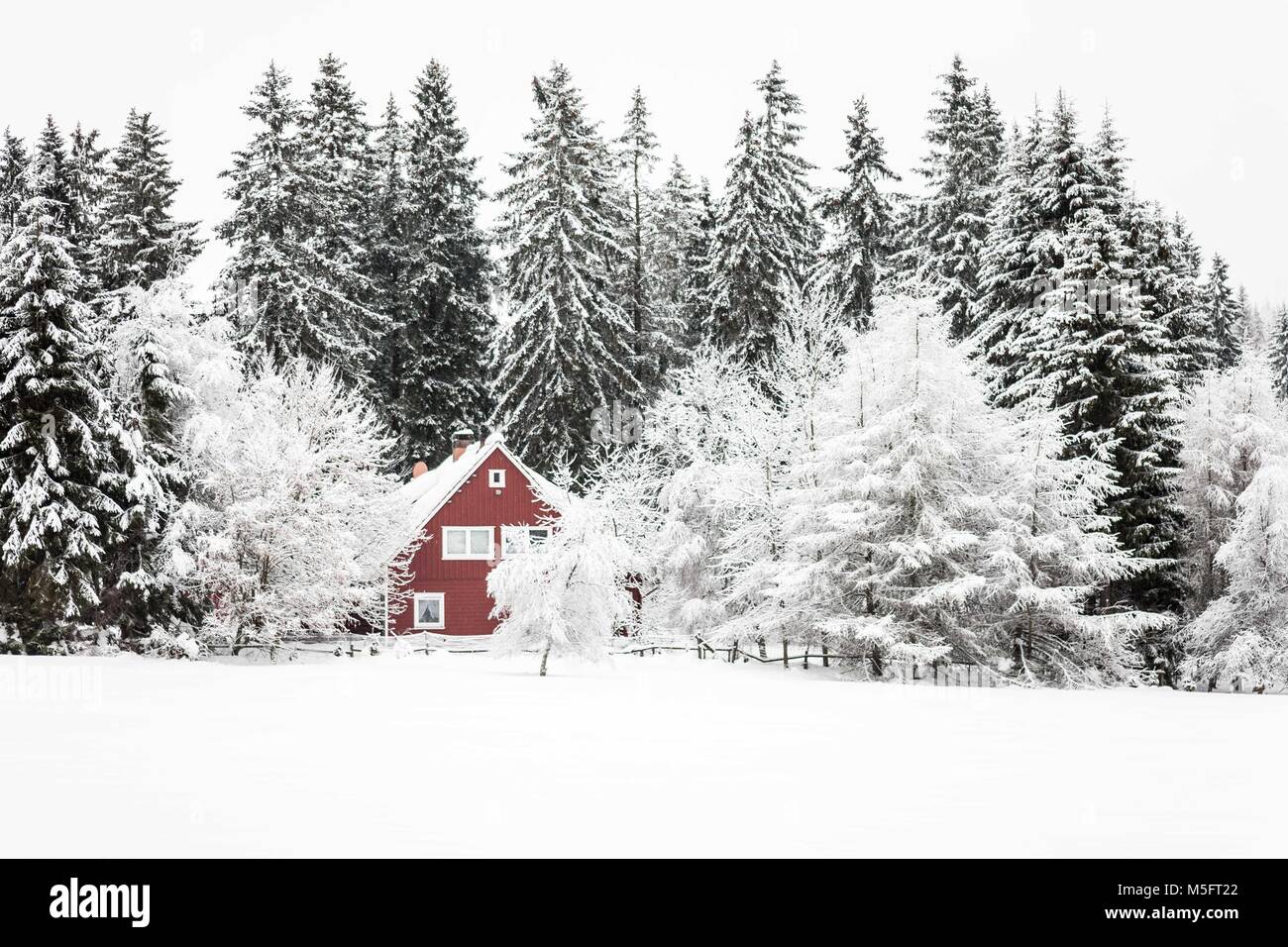 Red house by a snowy forest hi-res stock photography and images - Alamy