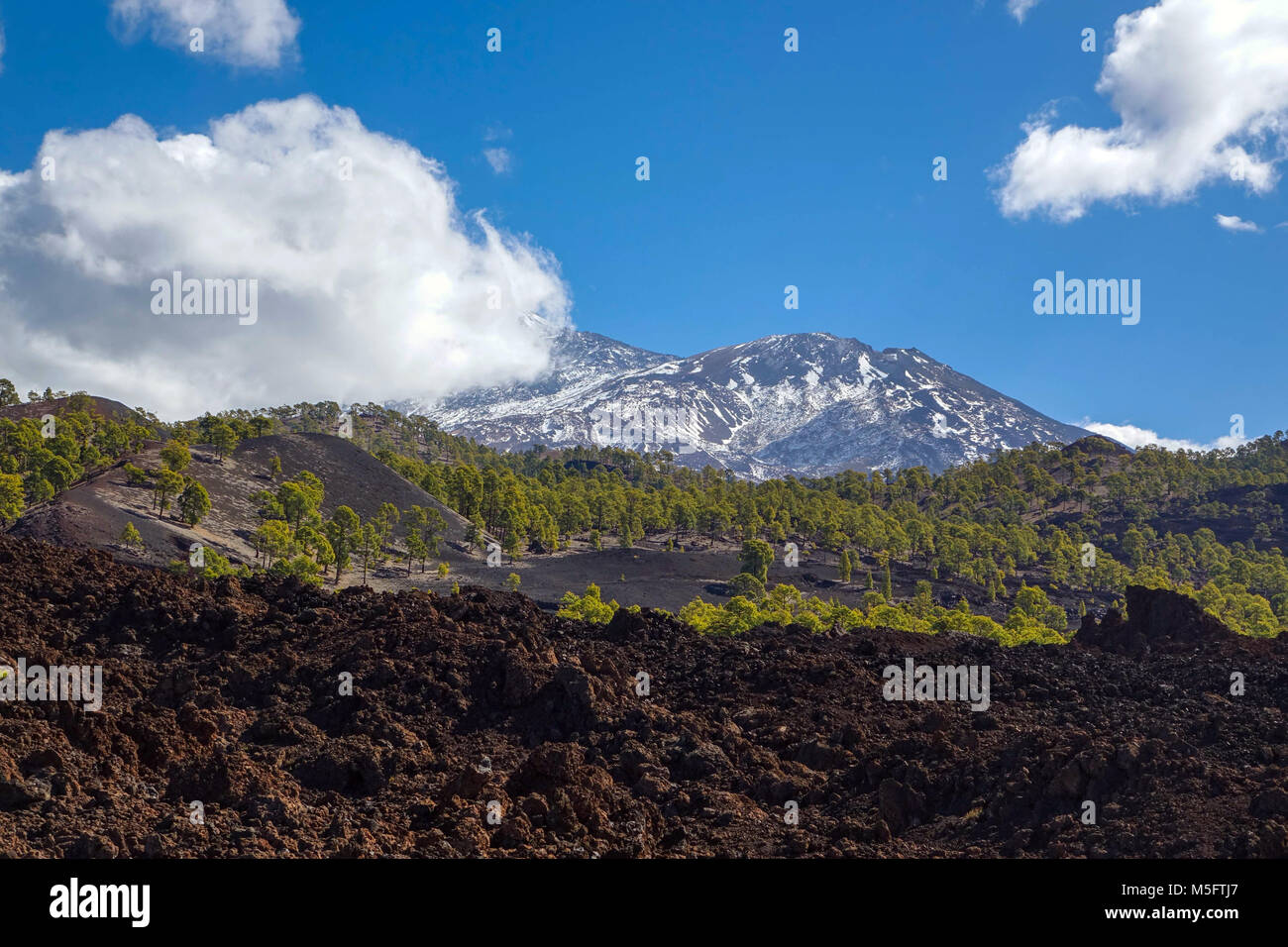 Volcanic lava flows and pine forests on El Tiede mountain, Teneriffe Stock Photo