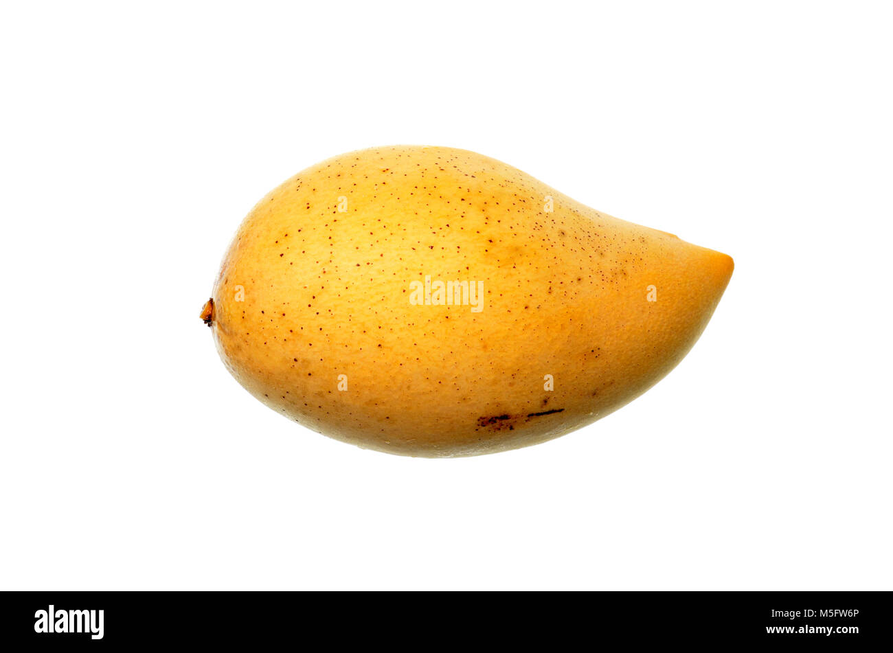 Isolate yelloe mango, a close up photo image of ripe yellow organic mango isolate on bright whitw light background present a dapple blemish pattern an Stock Photo