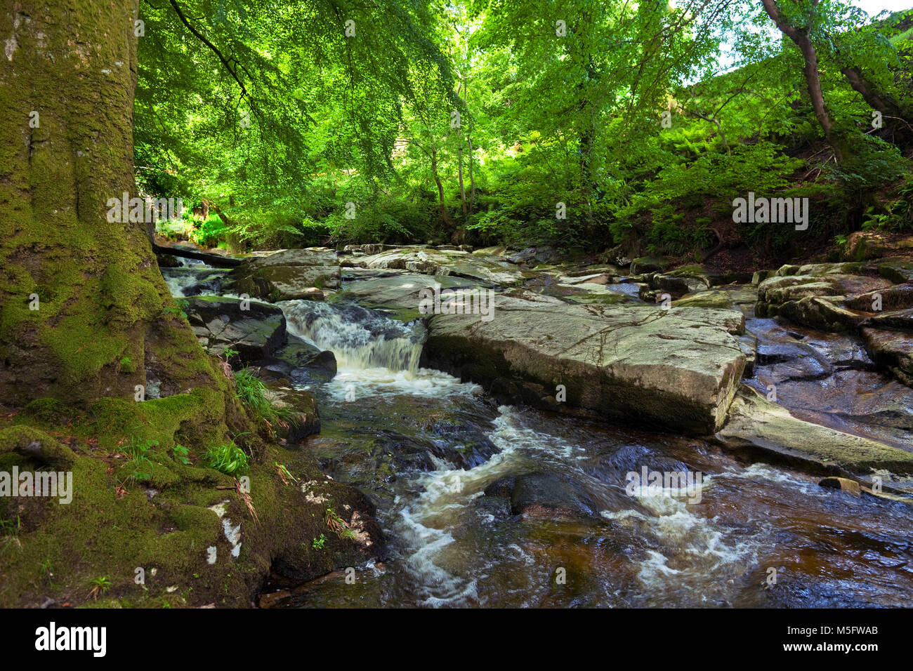 The Shankhill River shortly before in joins the River Liffey, near Clogleagh, County Wicklow, Ireland Stock Photo