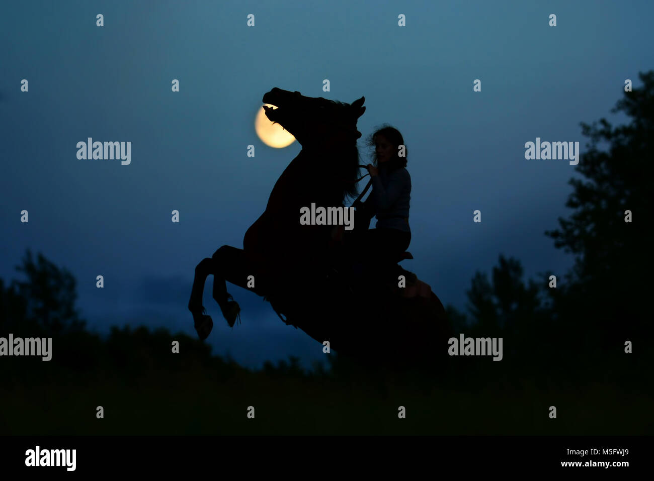 Rearing horse with rider under full moon in night. Fantasy moonlight silhouette of wild stallion with rider under full moon atmosphere background Stock Photo