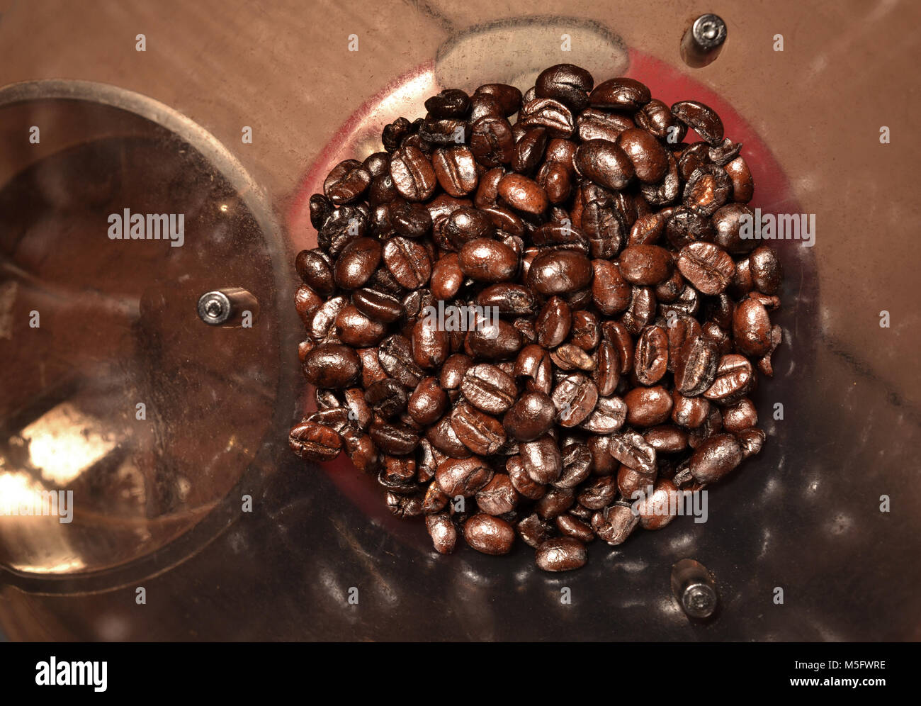 A top view closeup photo image of coffee bean in a coffee bean hopper