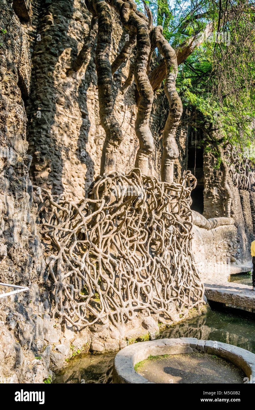 Rock garden, tourist attraction in Chandigarh, Punjab, India. Old tree