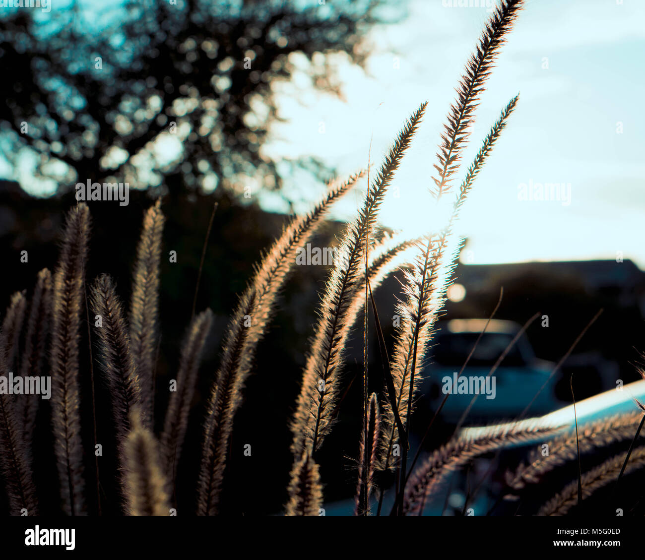 Dust in the wind Stock Photo - Alamy