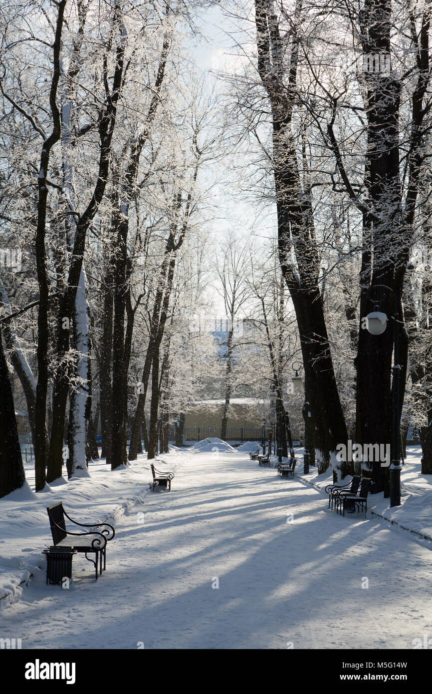 Mikhailovsky Garden, Saint Petersburg, Russia. Stock Photo