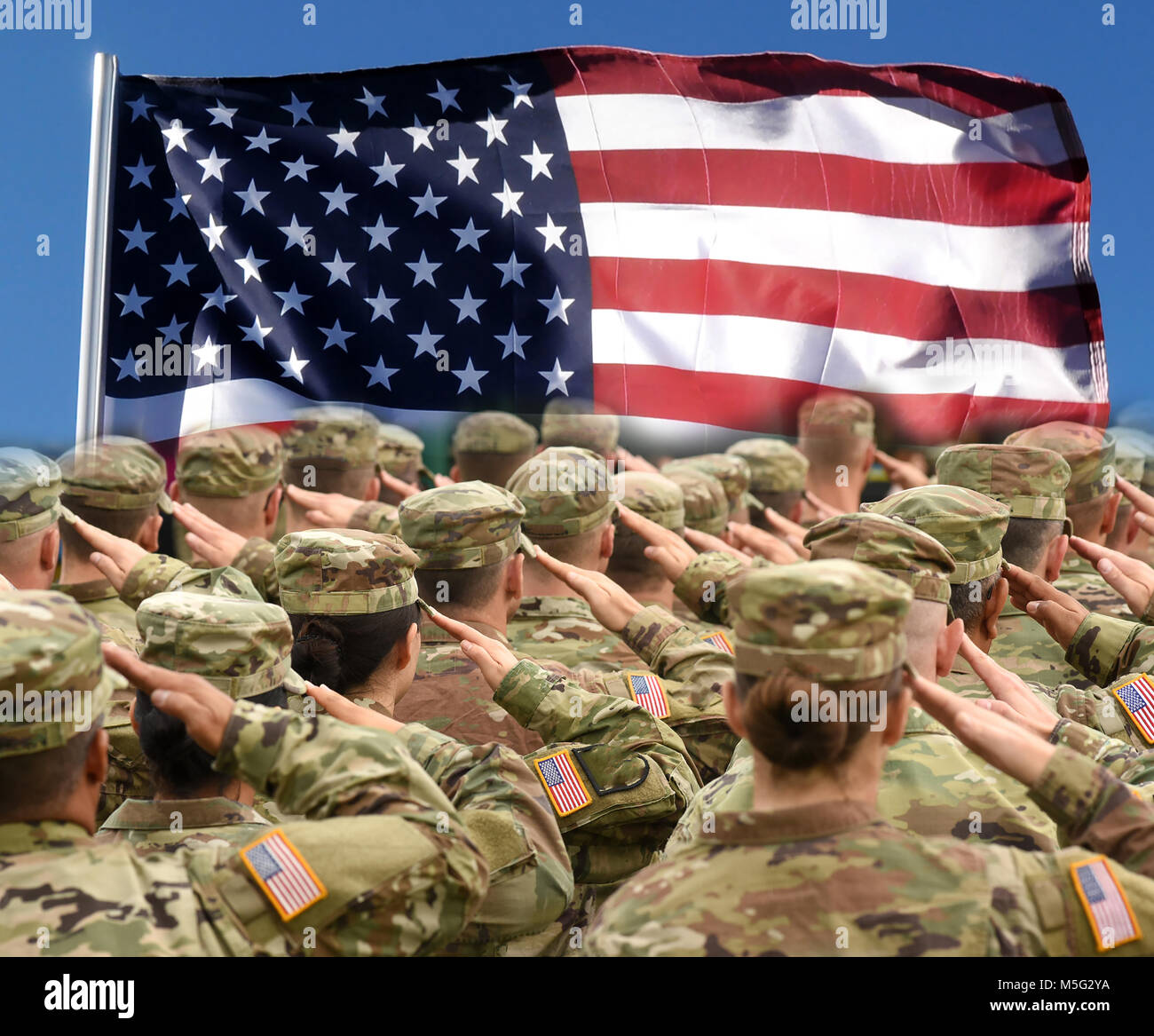 Us Military Saluting Flag Us Military Saluting Flag