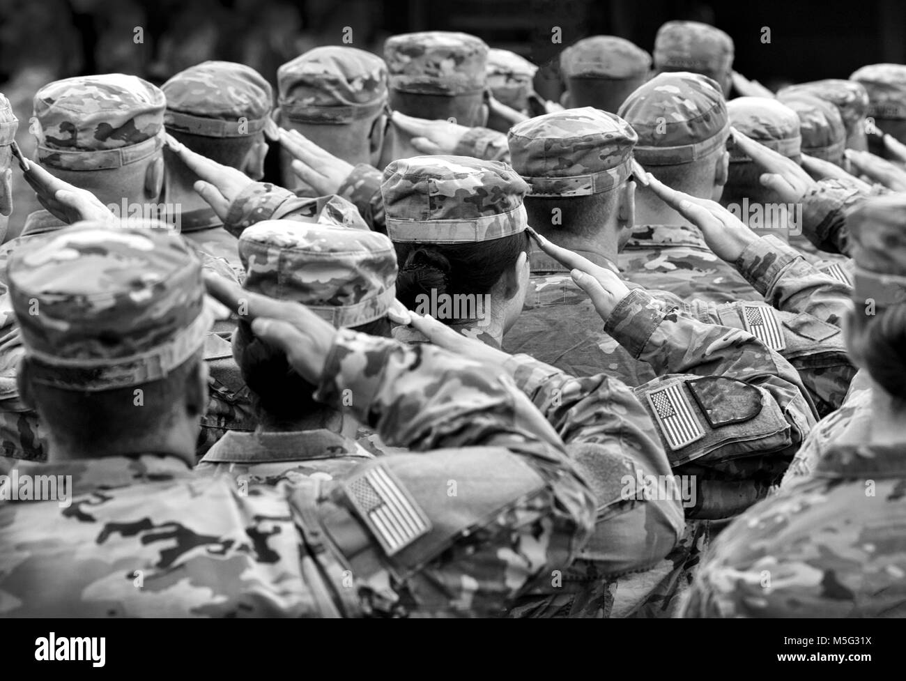 US soldiers giving salute, BW Stock Photo