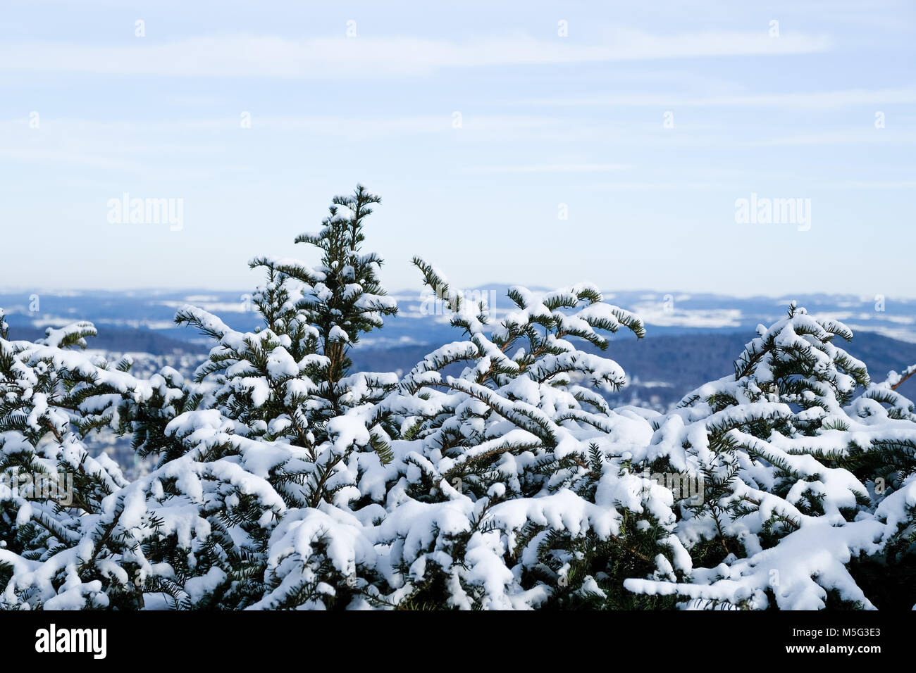 Winter landscape. View from the top of Uetliberg in Zurich, Switzerland. Stock Photo